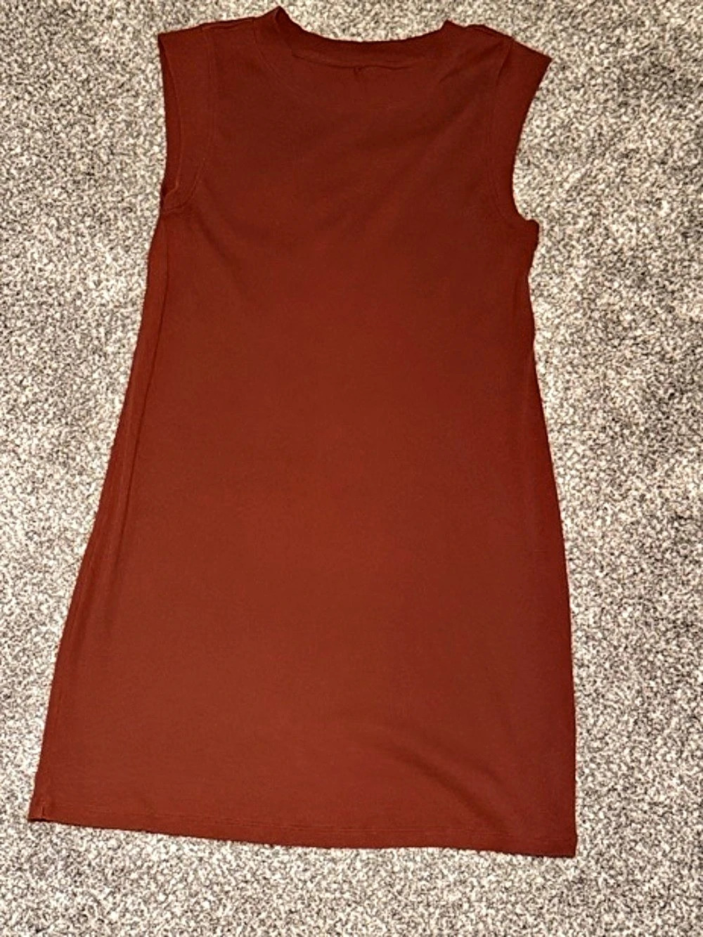 Sleeveless “A New Day” Mini Dress in Brown